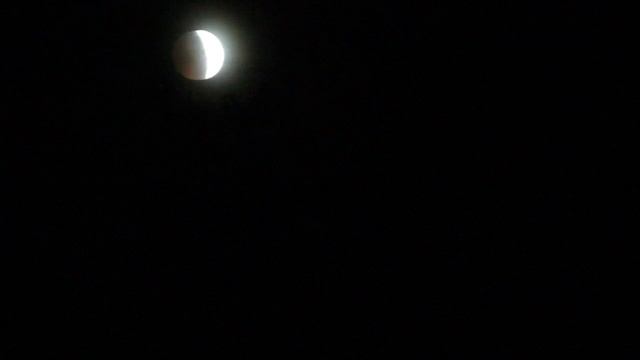 Passover's Blood Moon ~15 Part 2 Cat Scream's смотреть онлайн