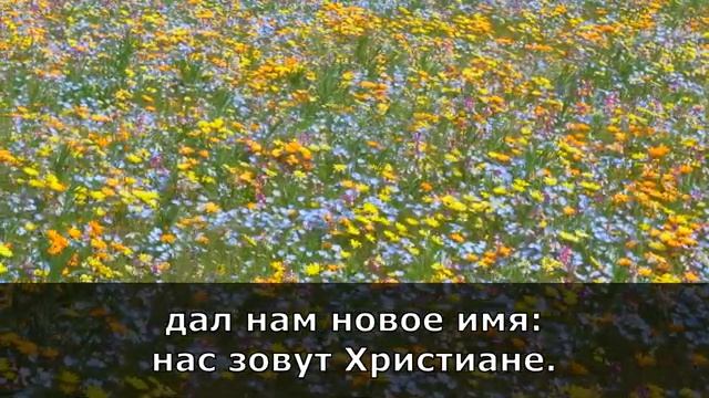 Манит сердце мечтою смотреть онлайн
