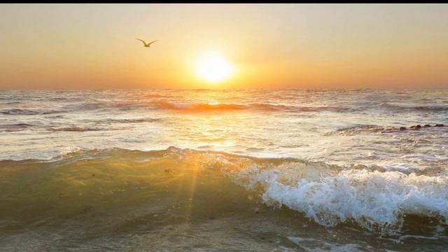 Релакс-видео, солнечные волны и шум моря... смотреть онлайн