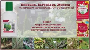Инсектициды Пиноцид, Батрайдер и Жукоед - эффективные средства от садовых вредителей на растениях