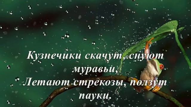 Стихи Миланы Секоненко (видео сделала Гелия Алексеева) смотреть онлайн