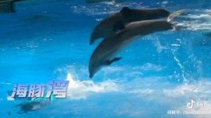 Fuli Ocean Happy World