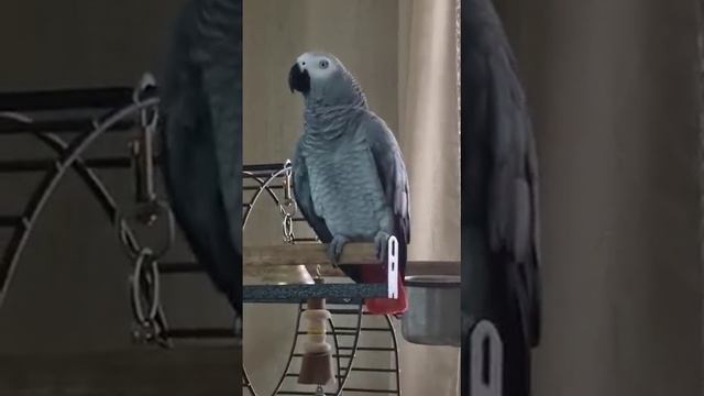 прикольно! смотрим все и улыбаемся! смотреть онлайн
