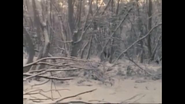 Թոփ 4 ֆիլմեր ձիերի մասին/Top 4 filmer dzieri masin смотреть онлайн