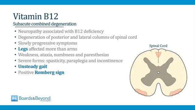 4.Macrocytic Anemia смотреть онлайн