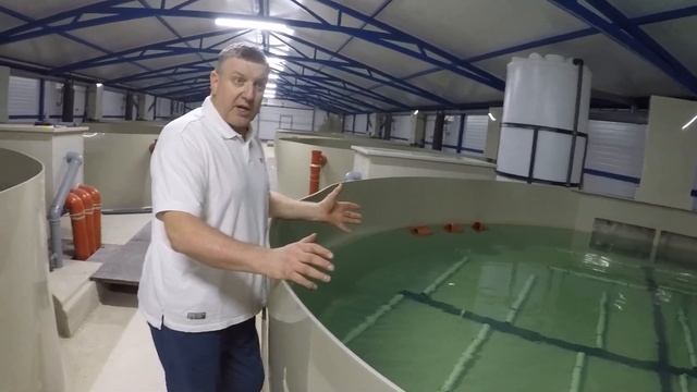 Осетровник на 20 тонн в год в лен. области.