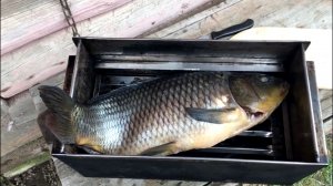 Вырастил карпа в своем пруду, теперь едим копченную рыбку. ( как приготовить горячего копчения карпа