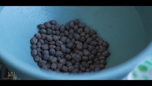 2022 Auction - A Labour Of Love