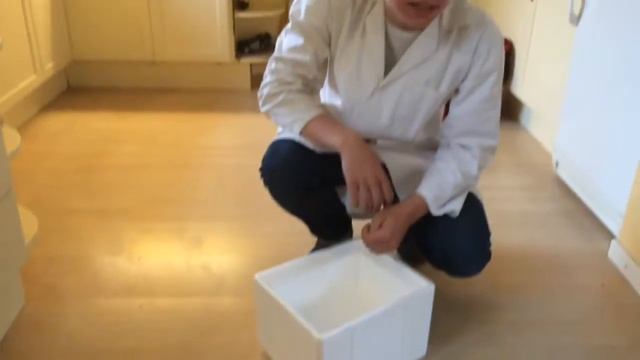Ytterligare tre coola experiment med flytande kväve смотреть онлайн