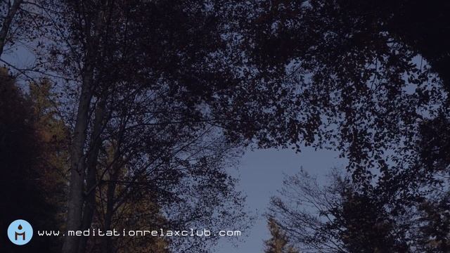 Sleep Music, Delta Waves Sleep Meditation, Relaxing Sleep Therapy, Sleep Hypnosis, Sweet Dreams смотреть онлайн