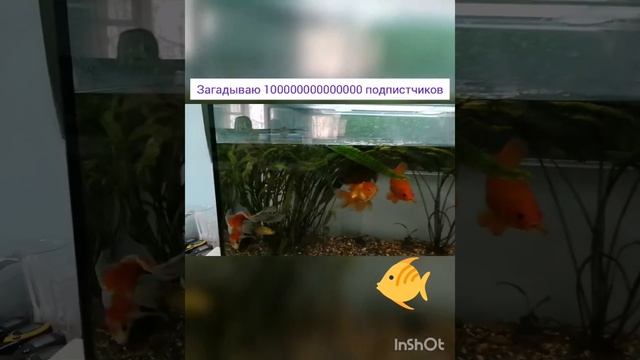 Я на станции юных нутаролистов смотреть онлайн