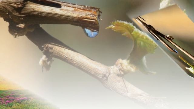 А. А. Фет "Это утро, радость эта..." смотреть онлайн