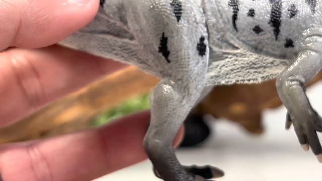 CollectA 2023 Ceratosuchops Review!!!