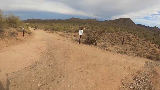 San Tan Mountain Regional Park | Goldmine / SanTan / Dynamite Trail Loop Hike смотреть онлайн