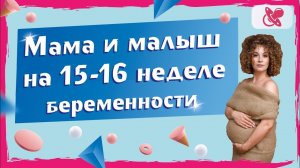 15-16 неделе беременности. Что происходит с мамой и малышом?