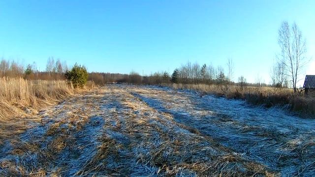 Пчеловоды без прав или новые ветеринарные правила!!! смотреть онлайн