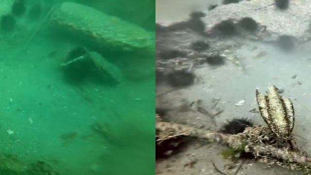 Minimal Color Loss and Locally Adaptive Contrast Enhancement for Underwater Image Enhancement смотреть онлайн