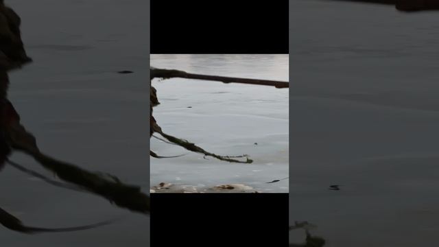 Абдул смотреть онлайн