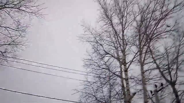 Вороны смотреть онлайн