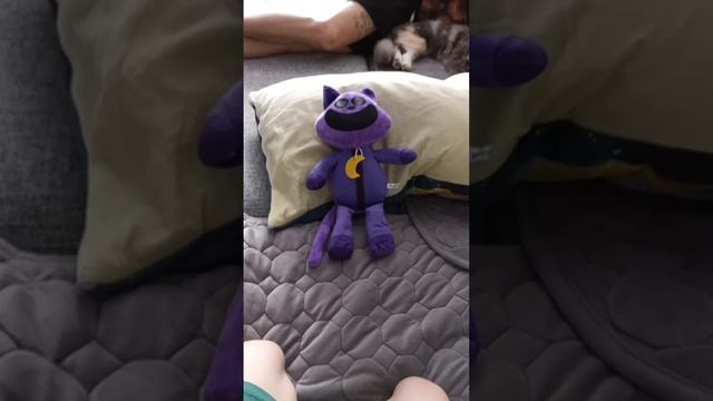 Кэт неп смотреть онлайн