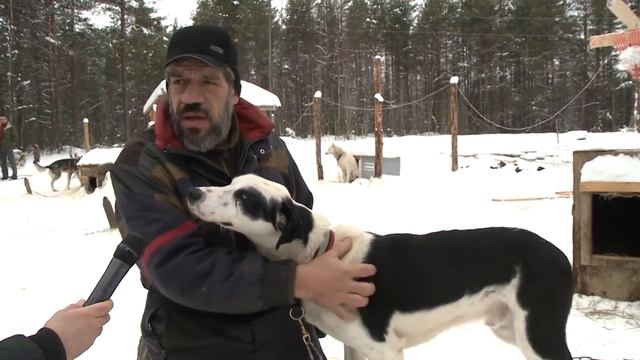 Хаммер смотреть онлайн