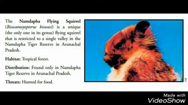 Critically endangered species of India... смотреть онлайн