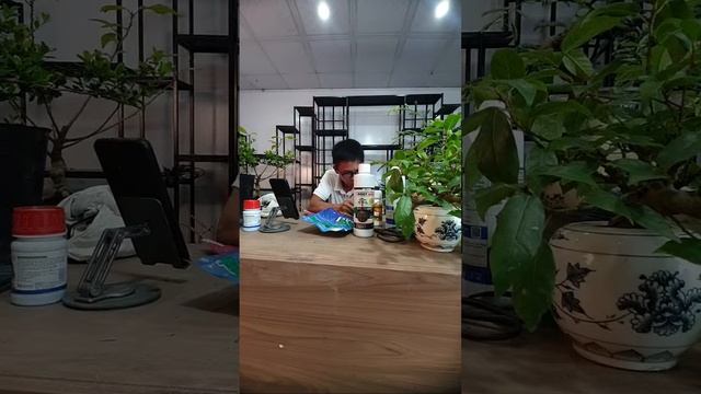 Cách Kích Hoa Làm Quả _ AN NAM đang phát trực tiếp! смотреть онлайн