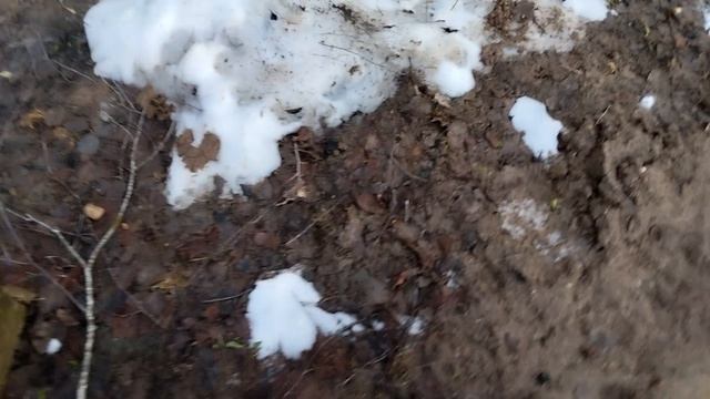 ВЛОГ❄️❄️❄️! ЗИМА!!! МИНИ КАТОК ⛸️⛸️⛸️!
ЗИМНЯЯ ПРИРОДА ⛷️❄️⛄🧥!!! Zlata SKVIN PLAY