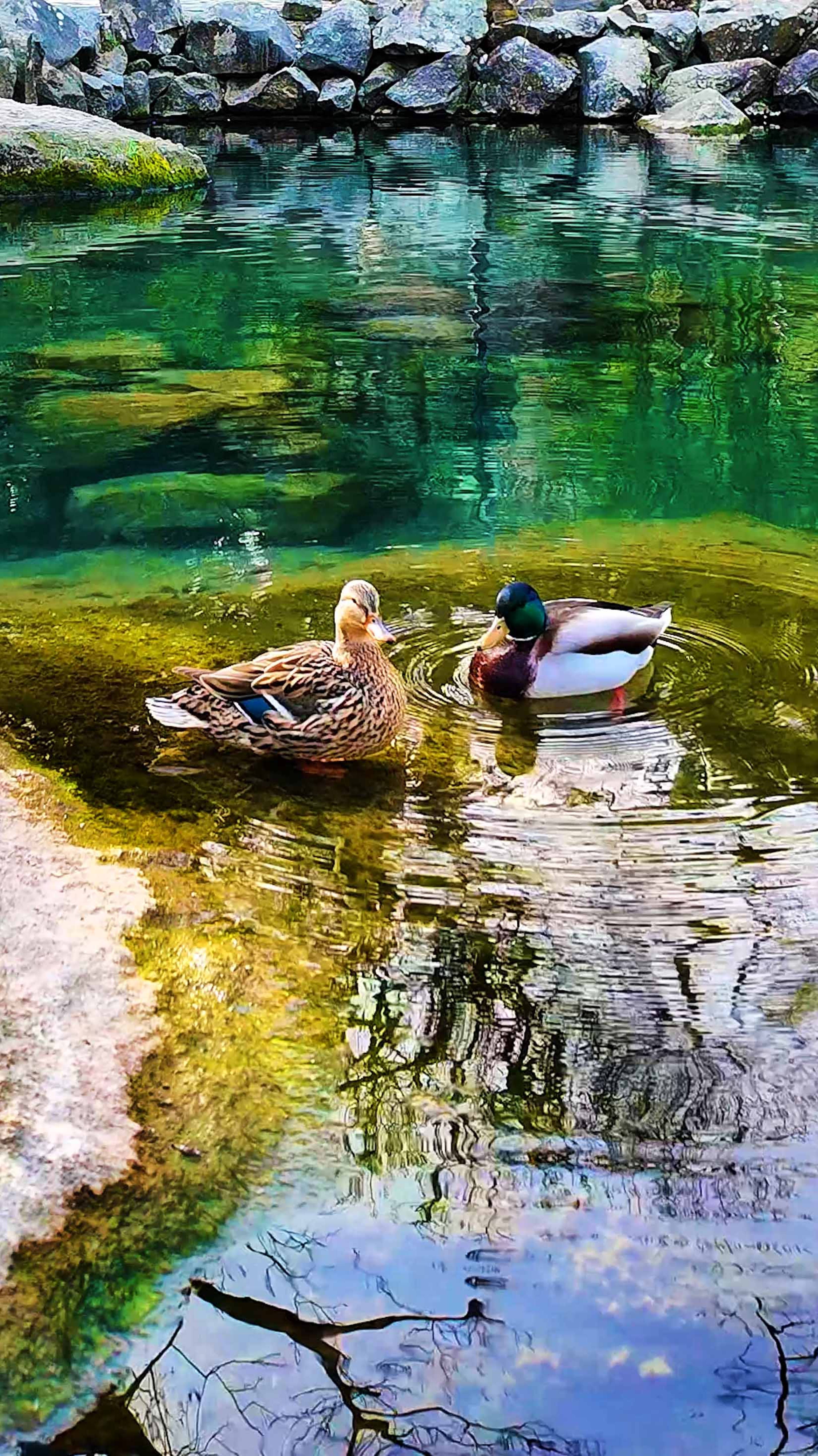 Парк Алупка смотреть онлайн