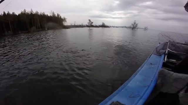 Щука,борьба под водой. смотреть онлайн
