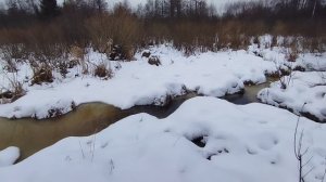 Охота на бобра капканами 2025г. Не удачно.