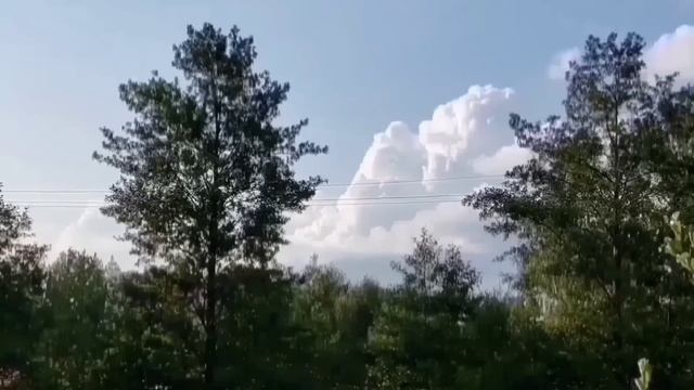 И СНОВА МУЧЕНИЯ УМКИ! ВРЕДИНА ЛАЙФ. ОБЗОР. смотреть онлайн