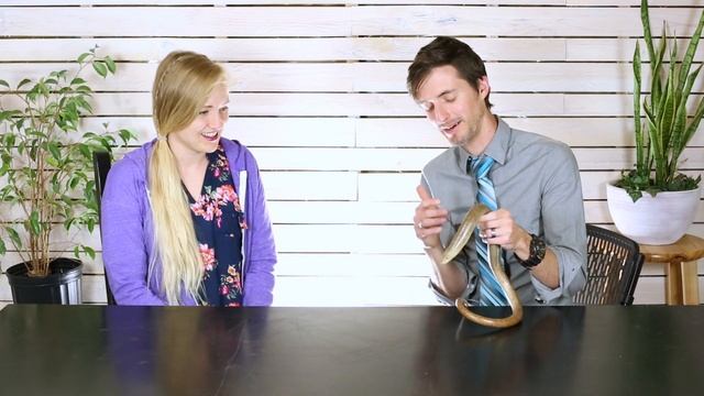 HOW TO HANDLE SNAKES AND LIZARDS | Featuring The Beach Family (The Beach House/Pins and Things) смотреть онлайн
