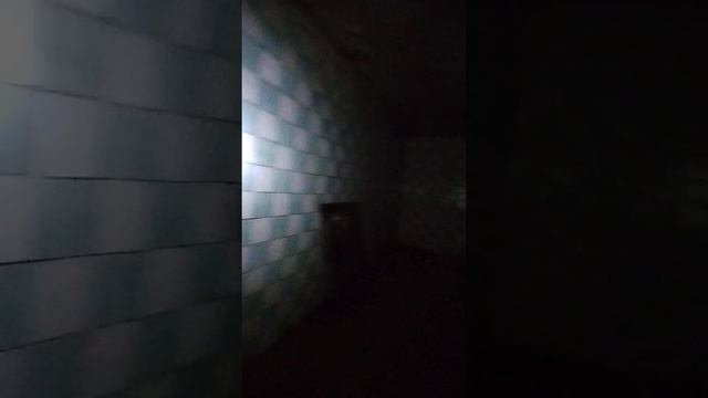 Илишевский район. Заброшенный молокозавод часть 3 подвал смотреть онлайн