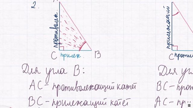 прямоугольный треугольник смотреть онлайн