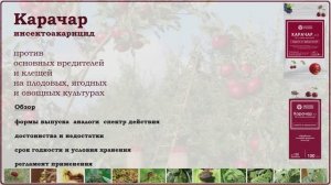 Карачар - мощное средство от основных вредителей и клещей плодовых, ягодных и овощных культур. Обзор