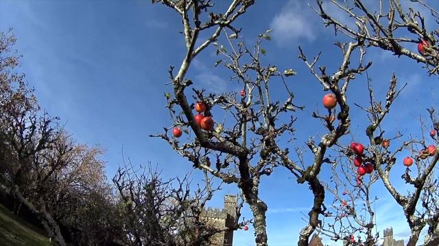 ЗАКРЫТИЕ СЕЗОНА ПОПАЛИ НА ФУРШЕТ смотреть онлайн