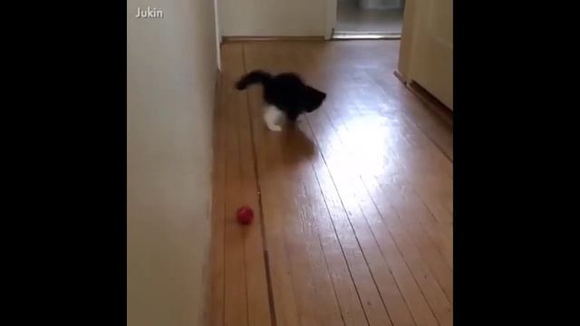 VID_20240526_232844_505.mp4