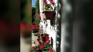 Судак, улица Бирюзова