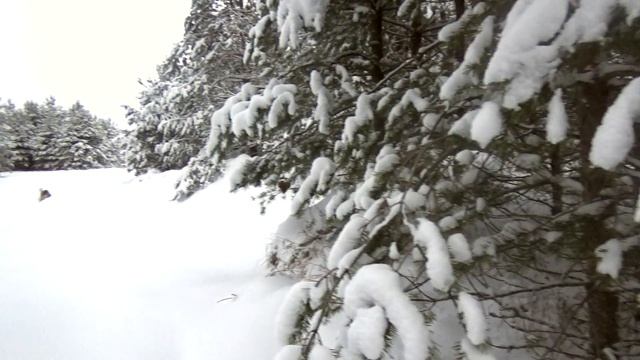 Деревенские истории #30 смотреть онлайн