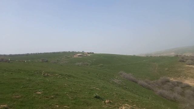 бобо тог смотреть онлайн