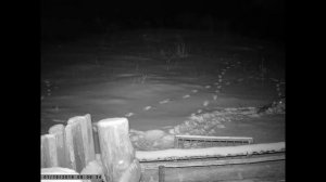 КУПИЛ 2 ДОМА В ДЕРЕВНЕ | ПРИШЛА ЗА КУРАМИ ПО СРЕДИ НОЧИ