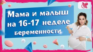 Что происходит с мамой и малышом на 16-17 неделе беременности?  Какие изменения и состояния.