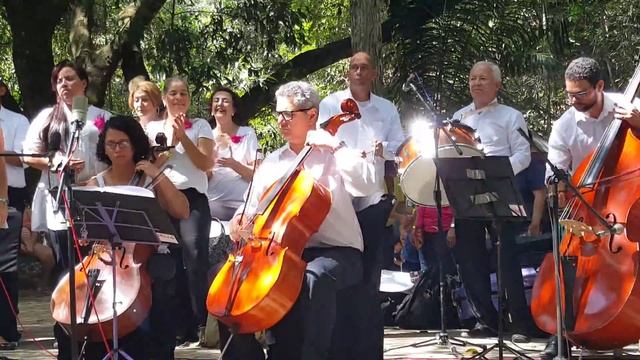 Ero Dictus no Parque Municipal смотреть онлайн