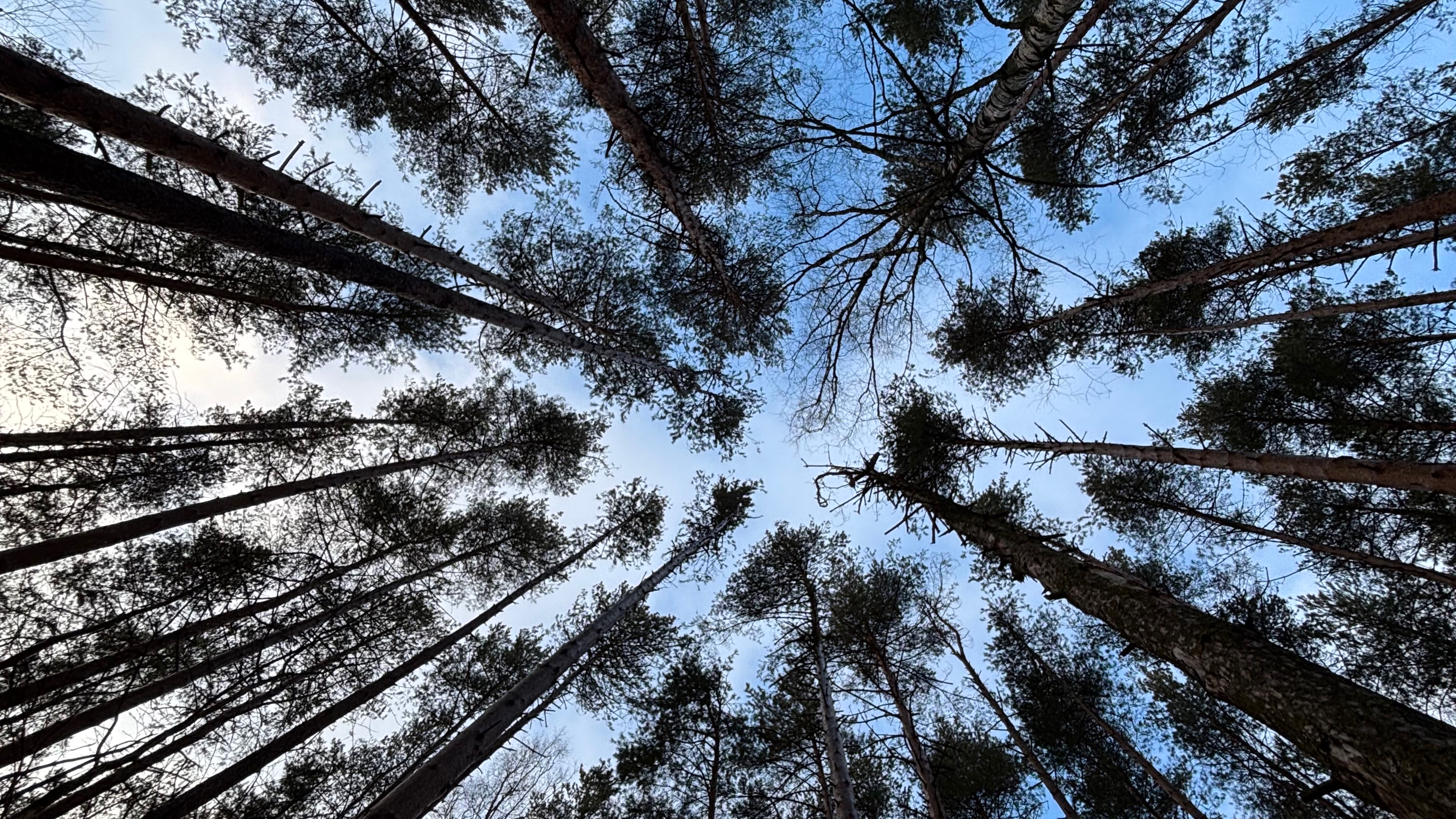 Дача в СНТ «Холодок» смотреть онлайн