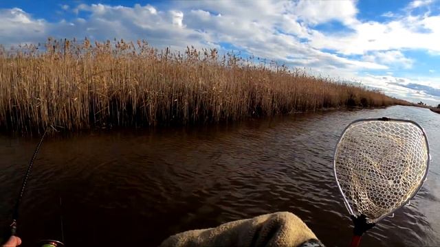 This Fishing Method INSTANTLY Catches Giants!! смотреть онлайн