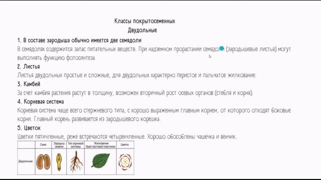 Высшие растения. Покрытосеменные. 8 урок по подготовке к ВсОШ по биологии. 7-9 класс. смотреть онлайн