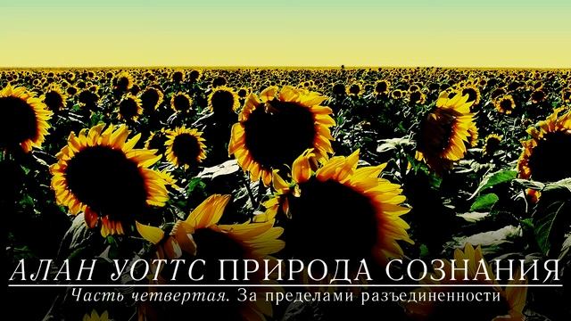 Алан Уоттс - Природа сознания (Часть 4) смотреть онлайн