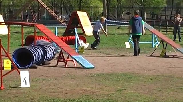 Чемпионат Северо-Западного ФО. Аджилити. Toy смотреть онлайн