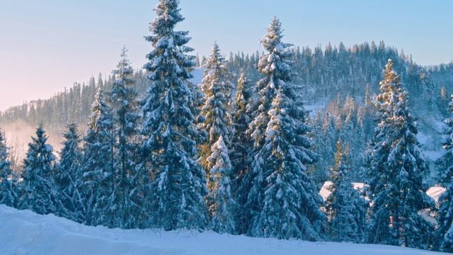 Василь Биков, повість "Альпійська балада" повністю, розділ 2 з 24 смотреть онлайн